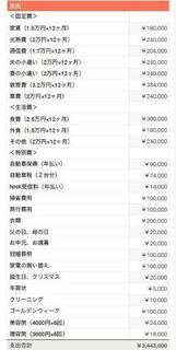 はぴ子さんの家の年間収支表.jpg