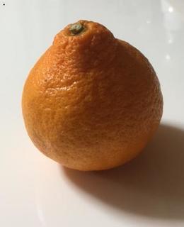 みかん.jpg
