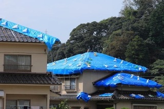 屋根にブルーシートをかけている画像.jpg