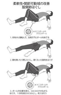 柔軟性・関節可動域の会唖然股関節ほぐし.jpg